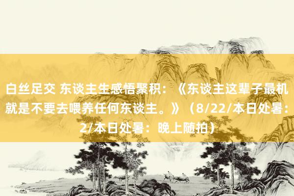 白丝足交 东谈主生感悟聚积：《东谈主这辈子最机灵的活法，就是不要去喂养任何东谈主。》（8/22/本日处暑：晚上随拍）