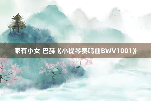 家有小女 巴赫《小提琴奏鸣曲BWV1001》