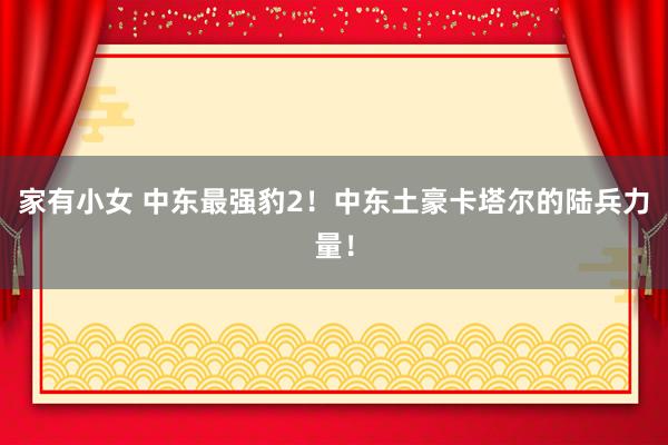 家有小女 中东最强豹2！中东土豪卡塔尔的陆兵力量！