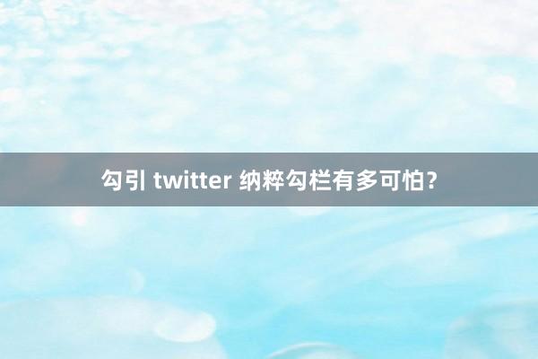 勾引 twitter 纳粹勾栏有多可怕？