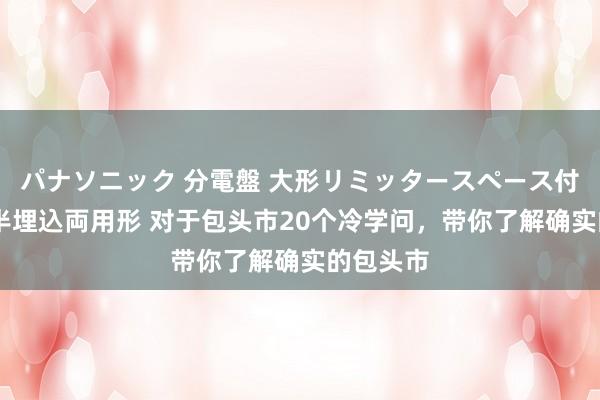 パナソニック 分電盤 大形リミッタースペース付 露出・半埋込両用形 对于包头市20个冷学问，带你了解确实的包头市