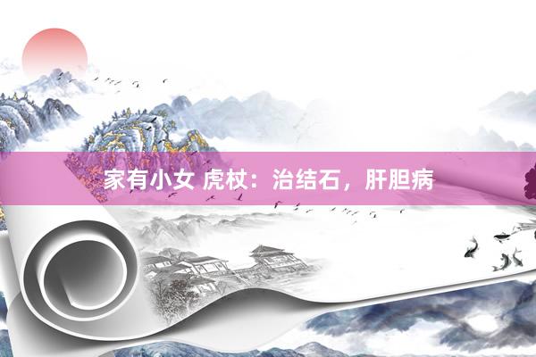 家有小女 虎杖：治结石，肝胆病